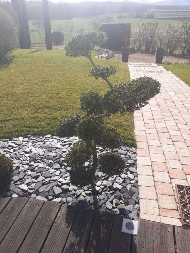 Création de pave Bouzel