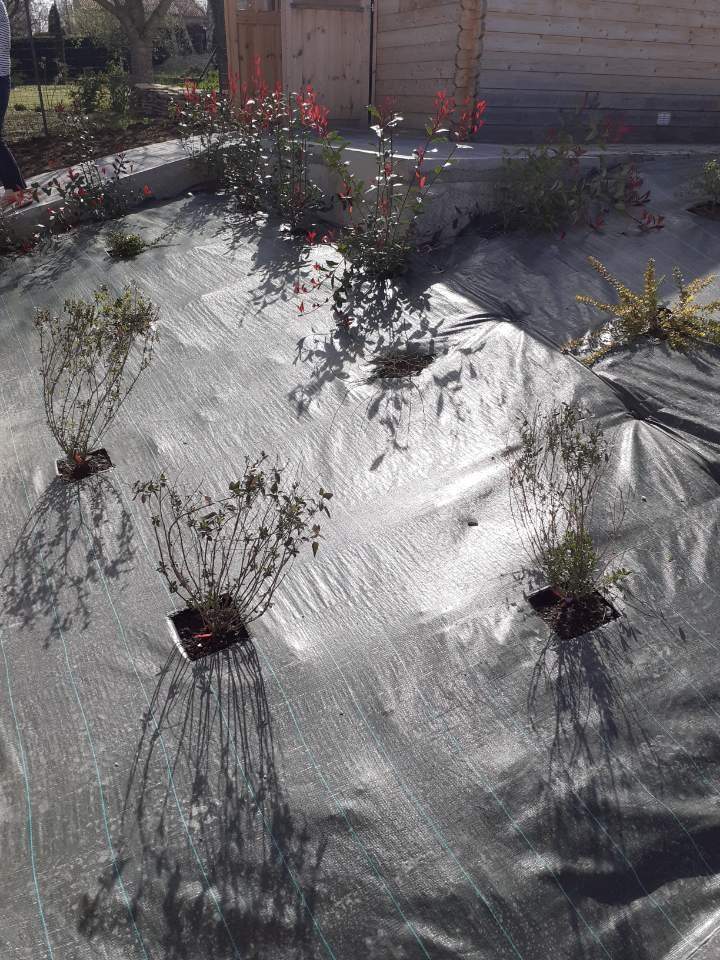 Création de pave Bouzel