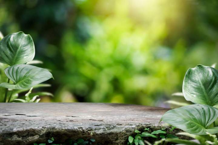 Aménagement extérieur Bouzel